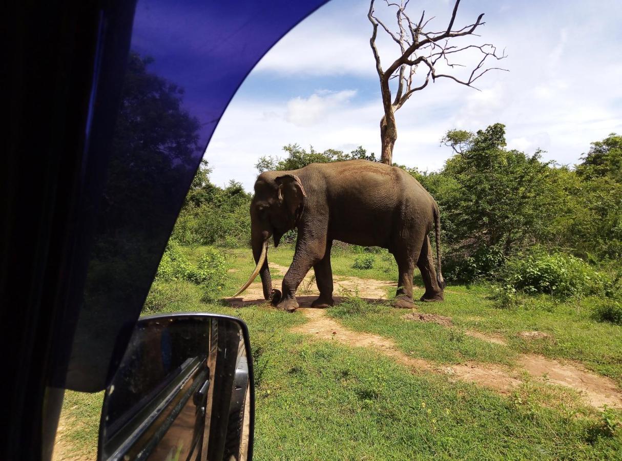 Leel'S Safari Cottage Udawalawe Ngoại thất bức ảnh
