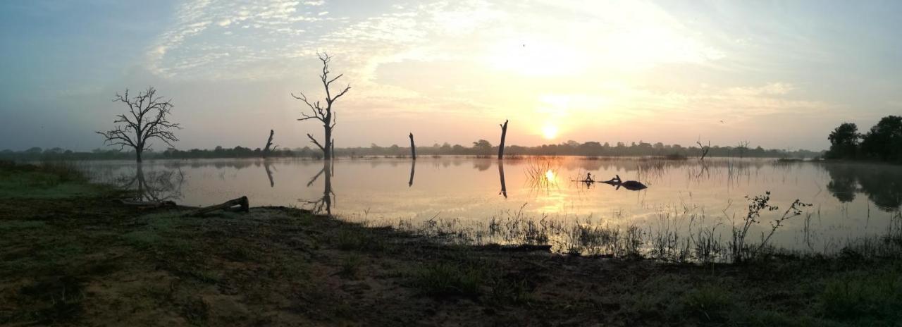 Leel'S Safari Cottage Udawalawe Ngoại thất bức ảnh